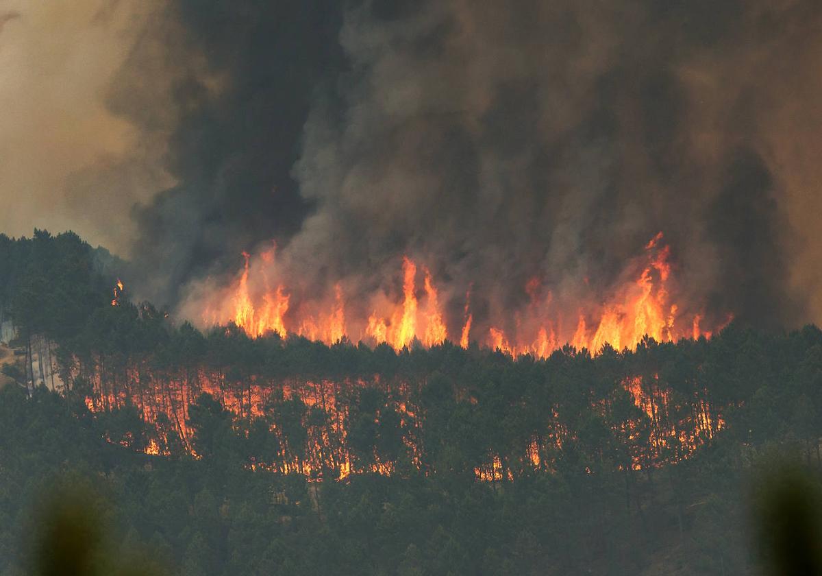 Activado el peligro medio de incendios en León, que será alto en los próximos días