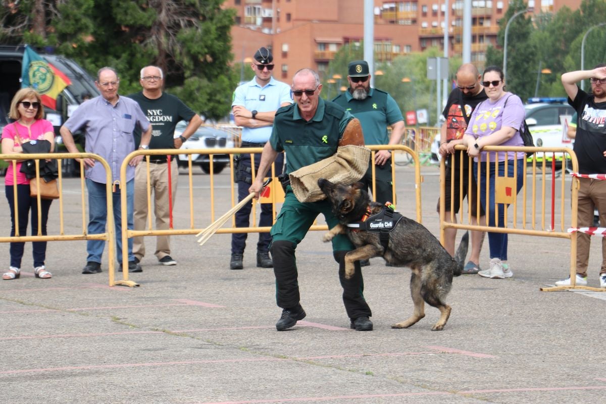 Las Fuerzas Armadas se exhiben en León