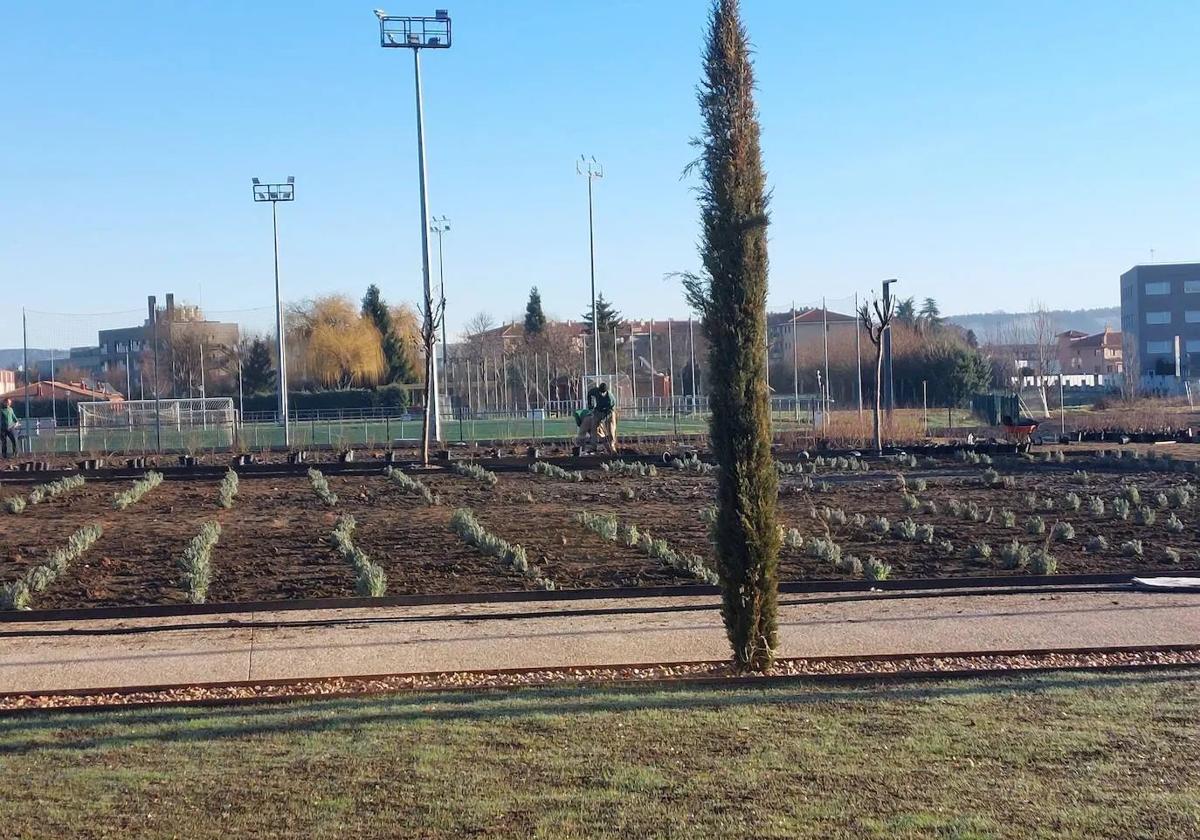 Parque de las Tierras Leonesas.