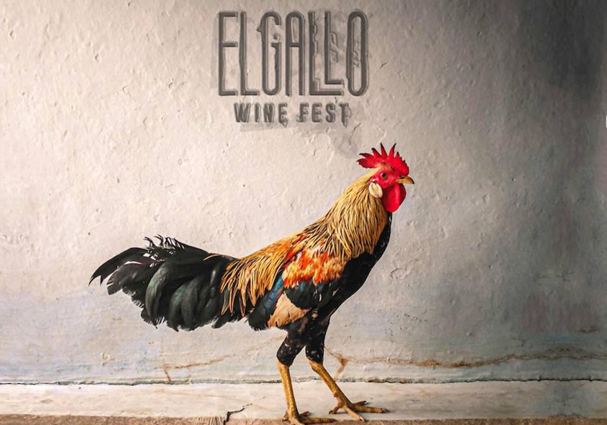 Cartel del Gallo Wine Fest