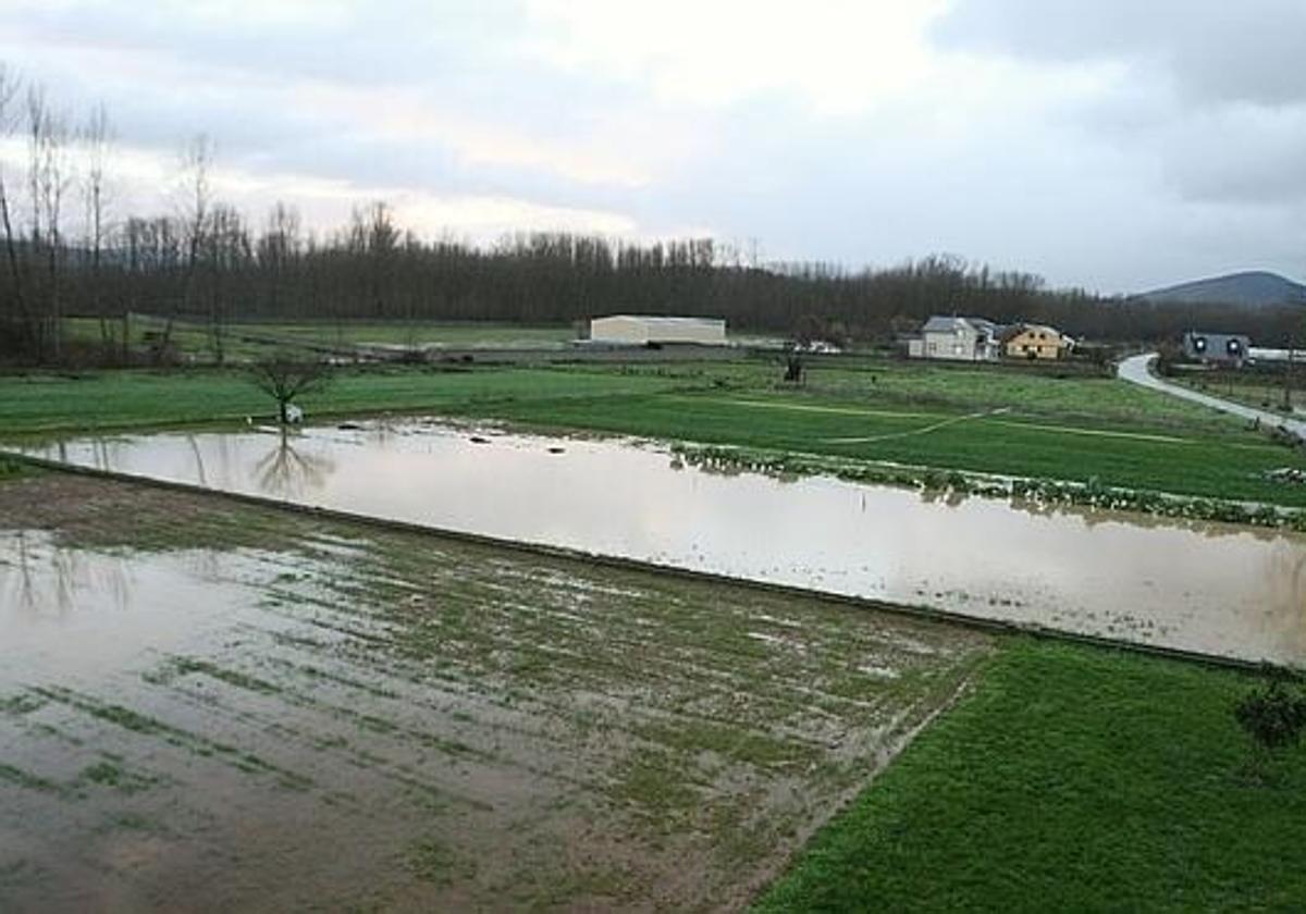 Imagen de archivo de un campo inundado.