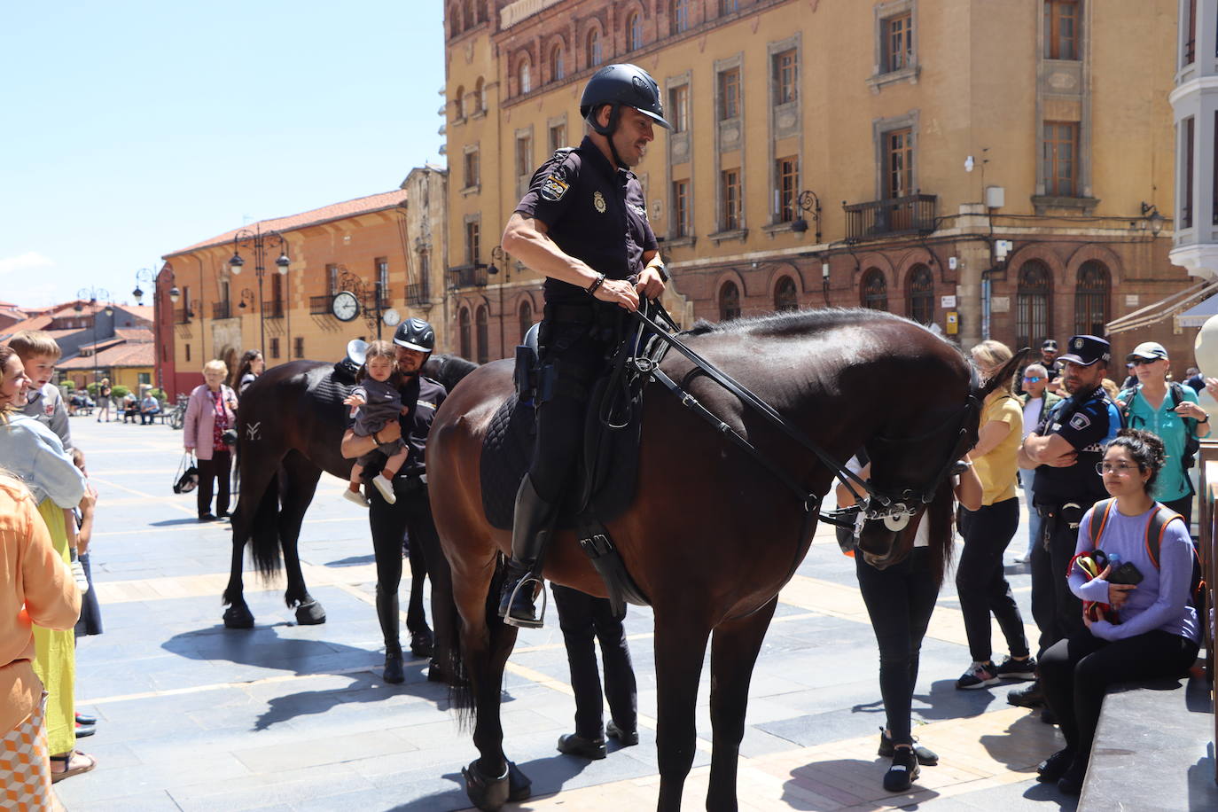 Los caballos de la Policía Nacional se pasean por León