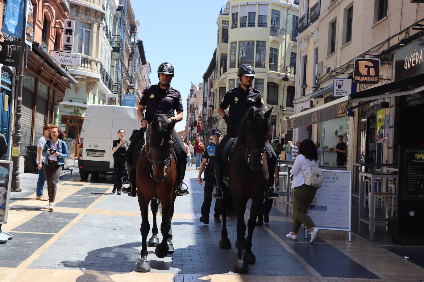 Los caballos de la Policía Nacional se pasean por León