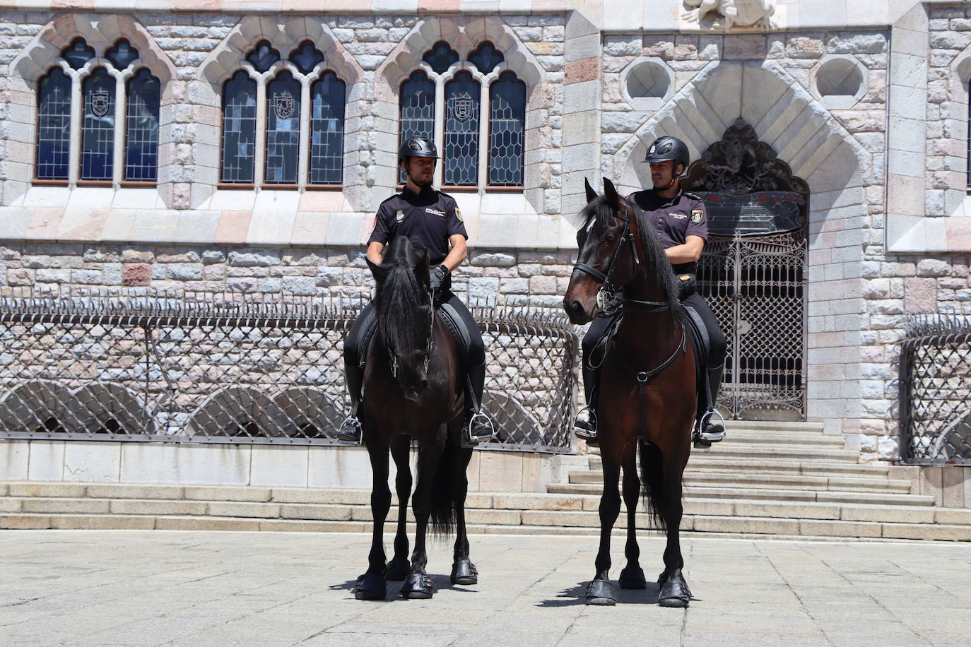 Los caballos de la Policía Nacional se pasean por León