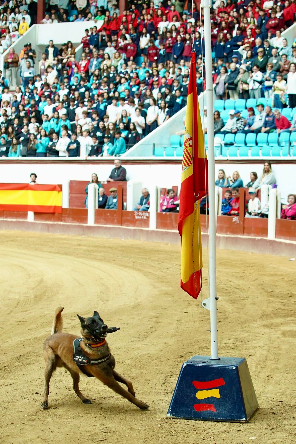 Exhibición de las diferentes unidades de la Policía Nacional en León