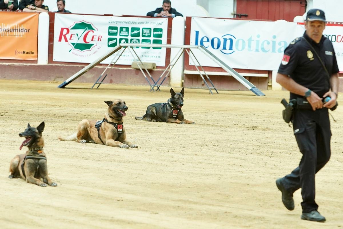 Exhibición de las diferentes unidades de la Policía Nacional en León