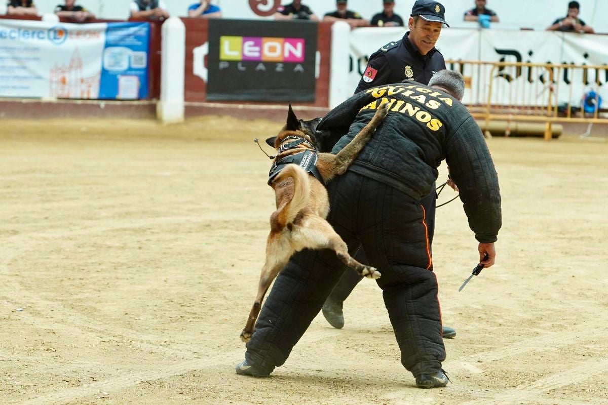 Exhibición de las diferentes unidades de la Policía Nacional en León