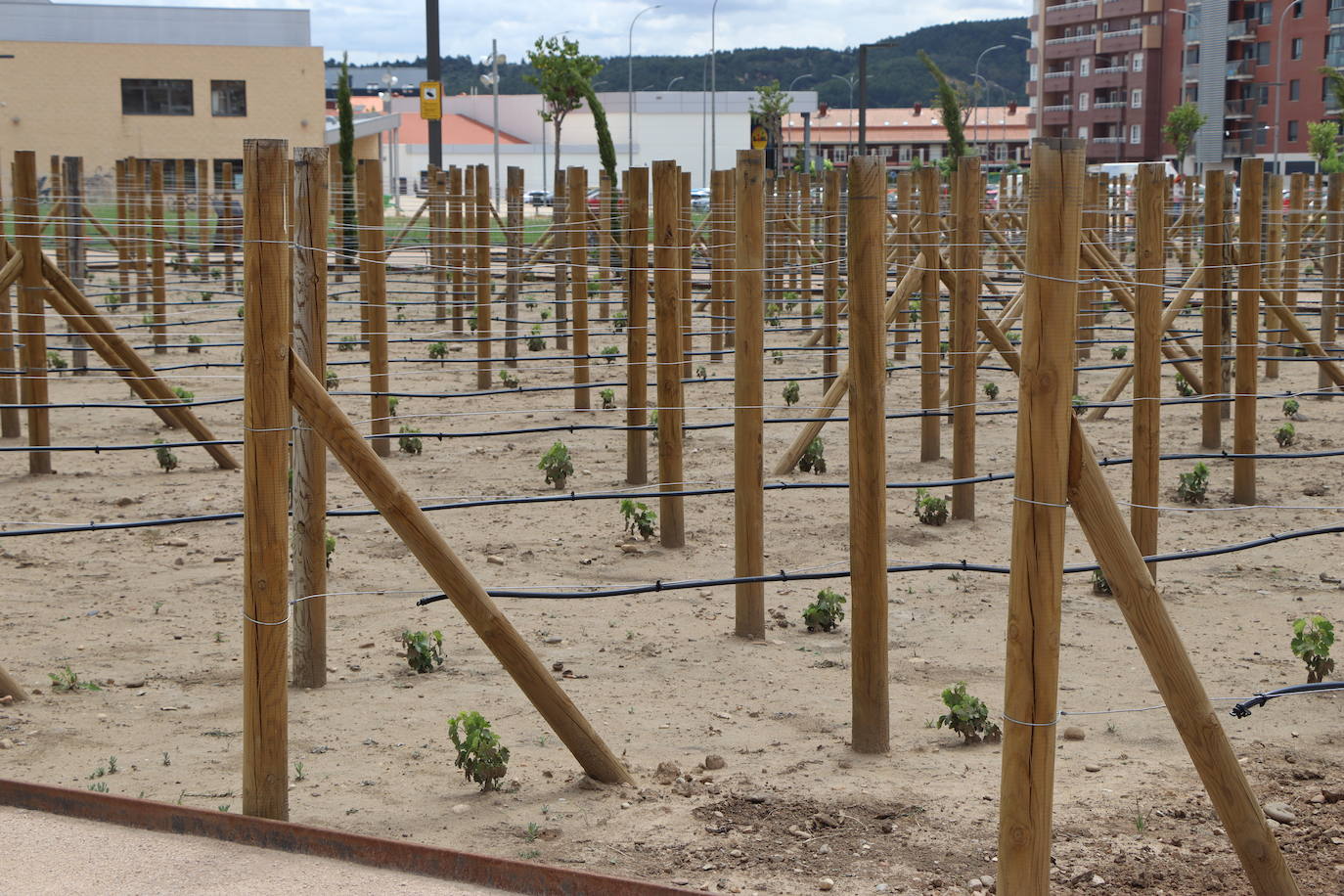 Nuevo parque para la ciudad de León