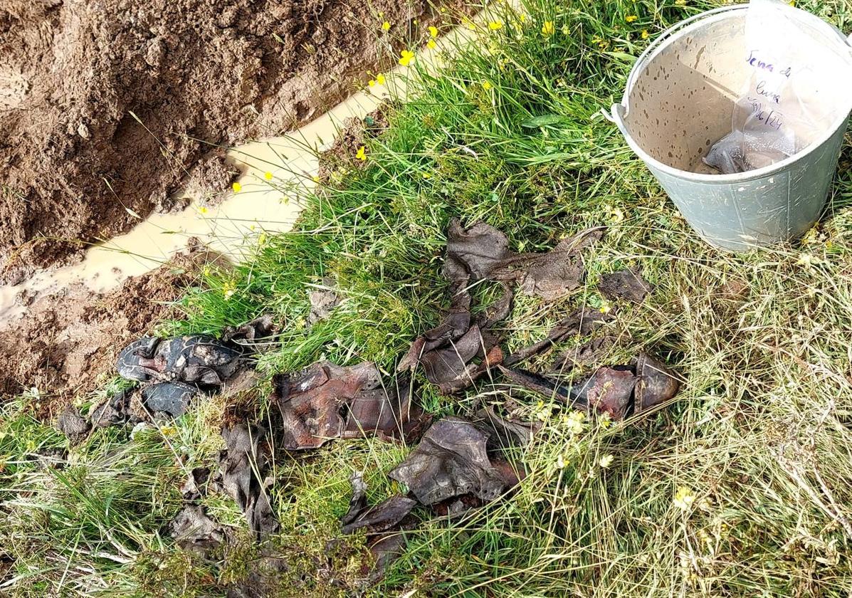 Restos de calzado y telas en el paraje de Matamala de Sena de Luna.