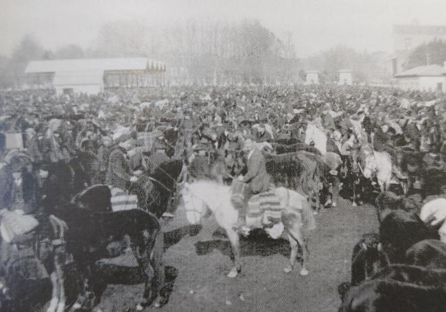 Feria del mercado de ganados de la Corredera.