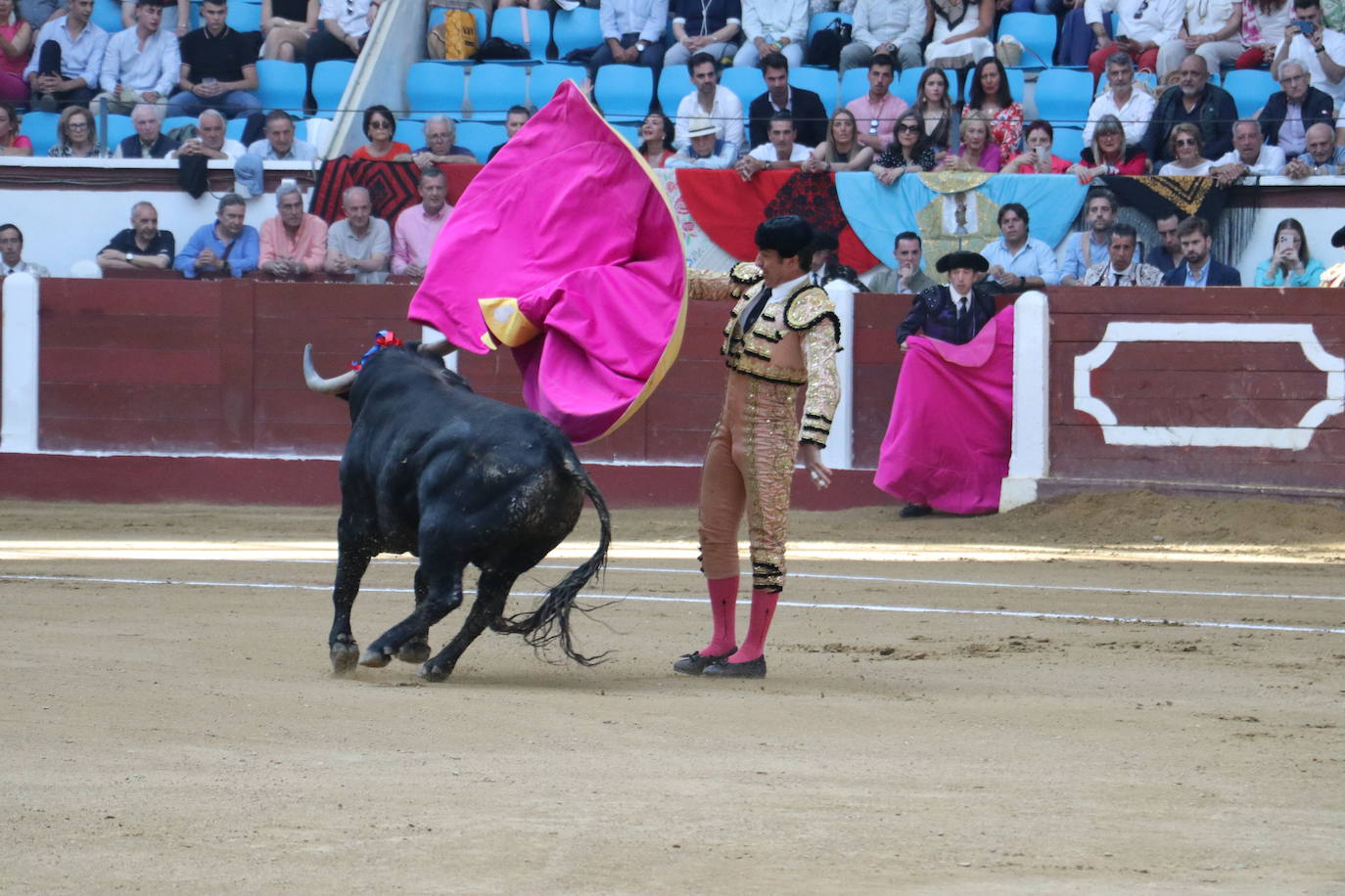 Las mejores imágenes de los toros