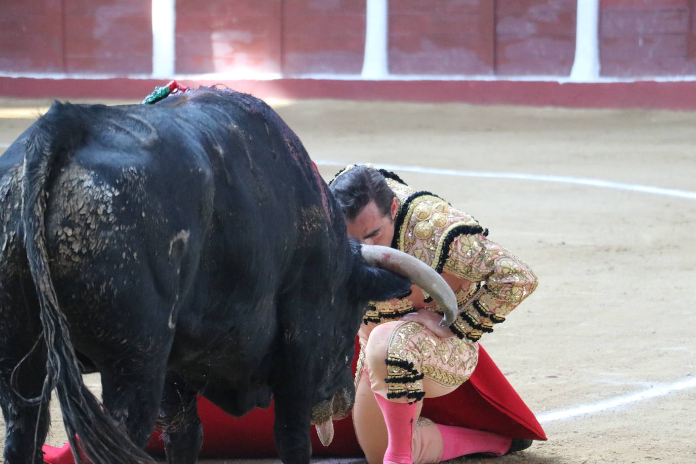 Las mejores imágenes de los toros