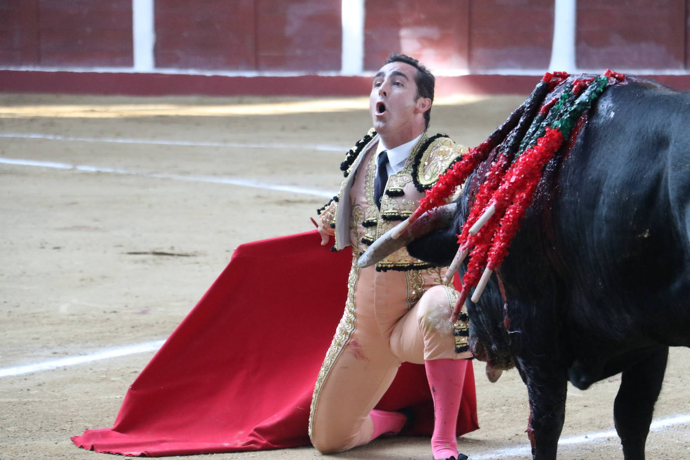 Las mejores imágenes de los toros