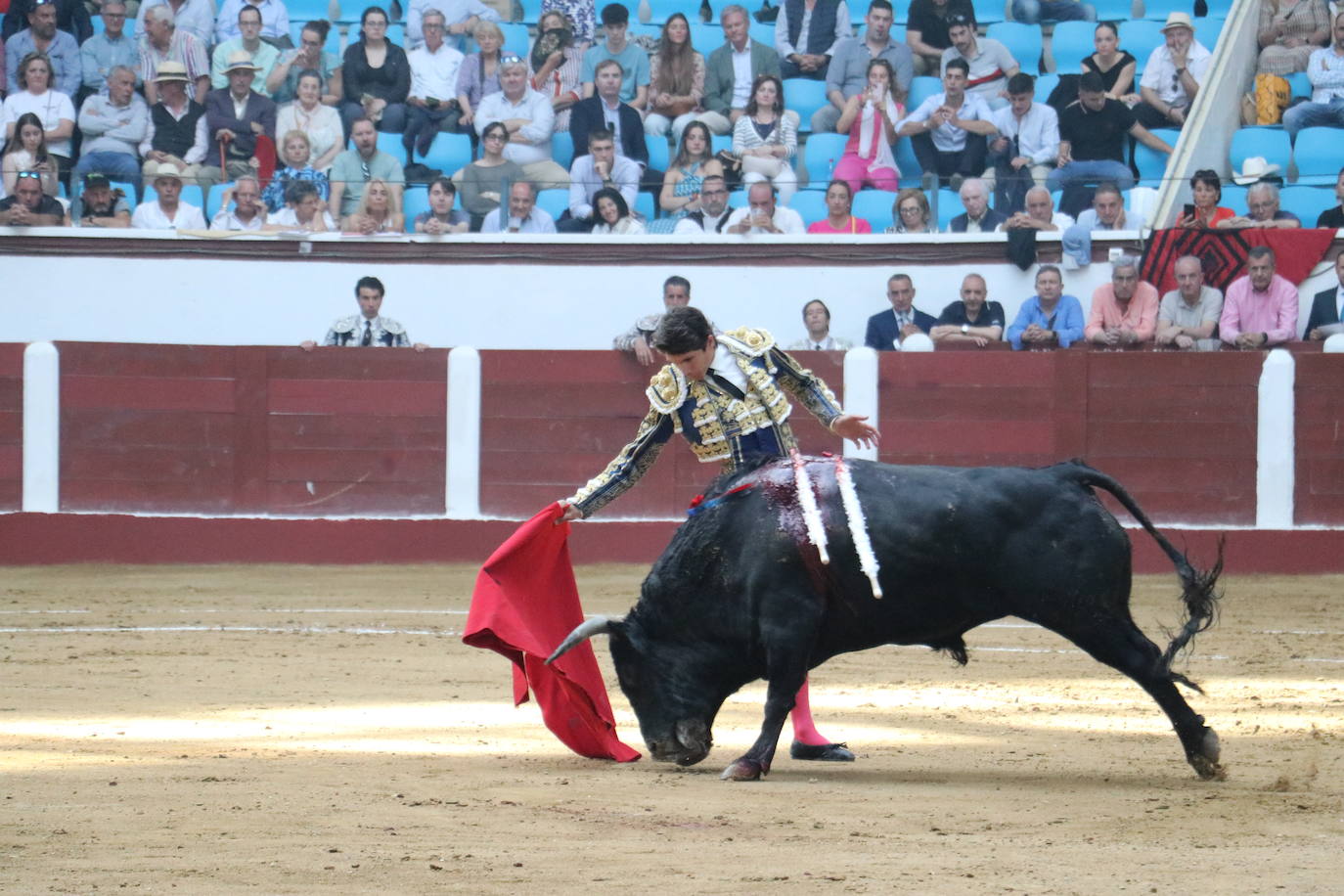 Las mejores imágenes de los toros