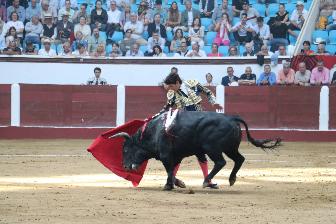 Las mejores imágenes de los toros