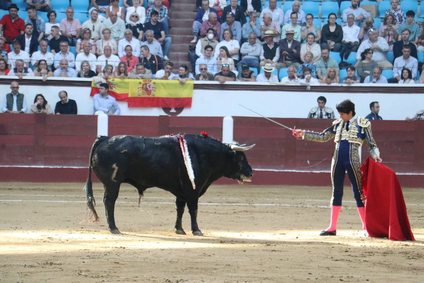 Las mejores imágenes de los toros