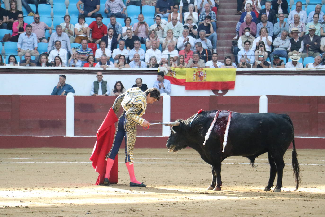 Las mejores imágenes de los toros