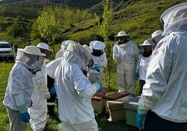 Alumnos del curso de iniciación a la apicultura celebrado en Pola de Gordon en mayo