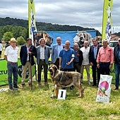 Exitosa prueba en el Concurso de Mastines de Prioro 2024