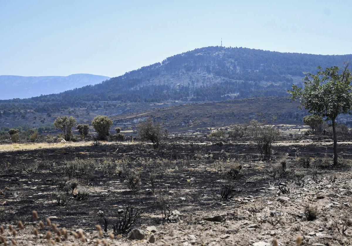 Incendio forestal declarado en la localidad segoviana de Navafría