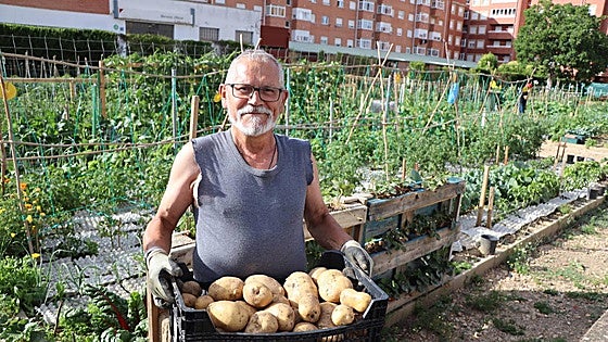 Semillas en el corazón de la ciudad