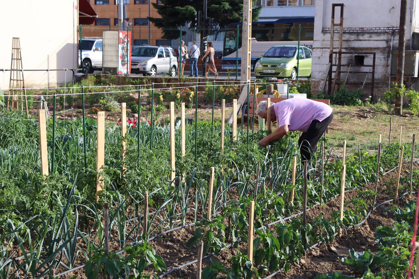 Visita a los huertos urbanos de San Andrés