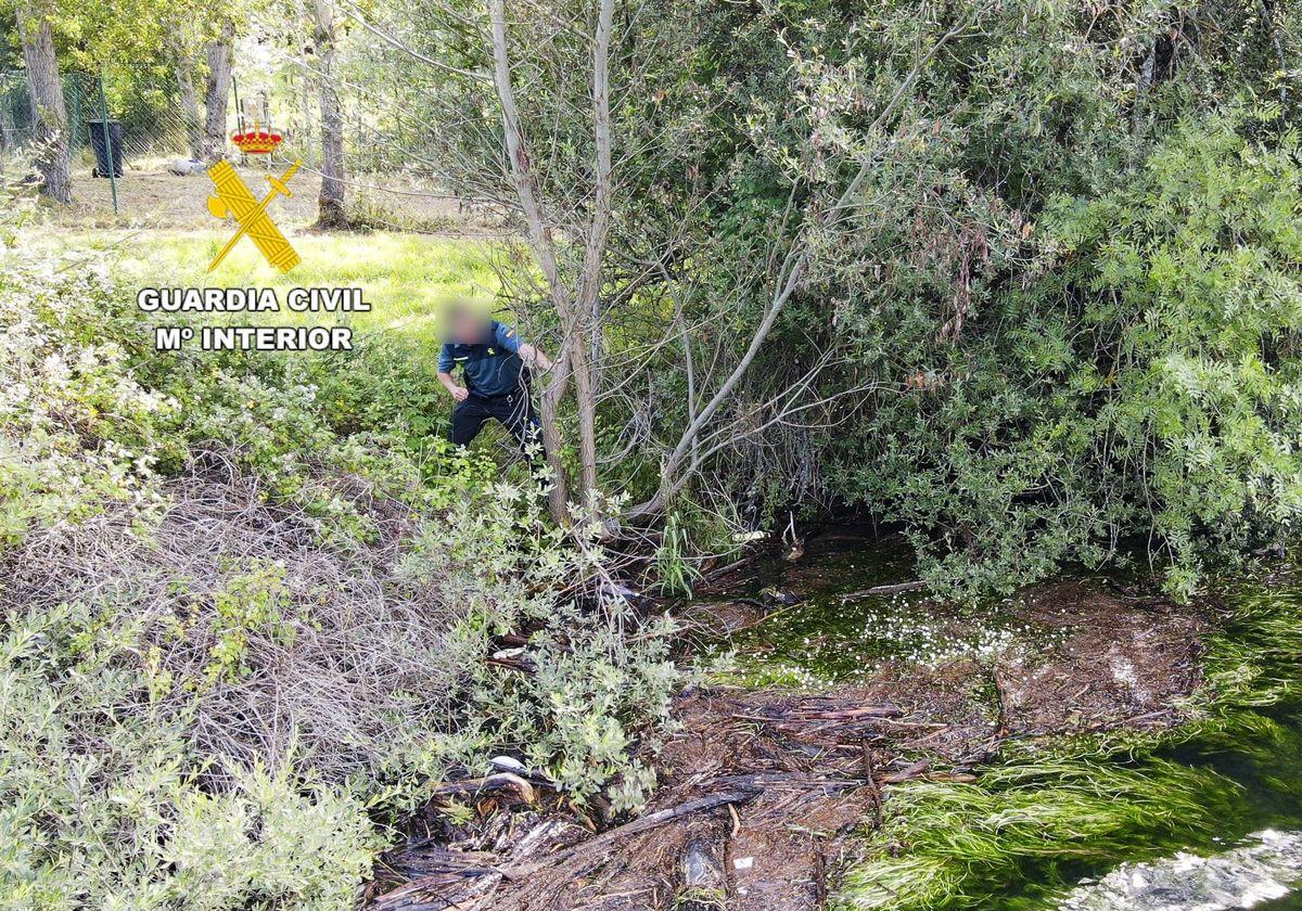 Amplían la búsqueda del hombre desaparecido en Las Salas a un bosque de hayas cercano a Riaño