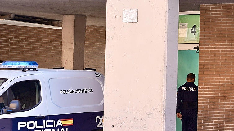 Prisión provisional, comunicada y sin fianza, para el detenido por la muerte de una mujer en Valladolid
