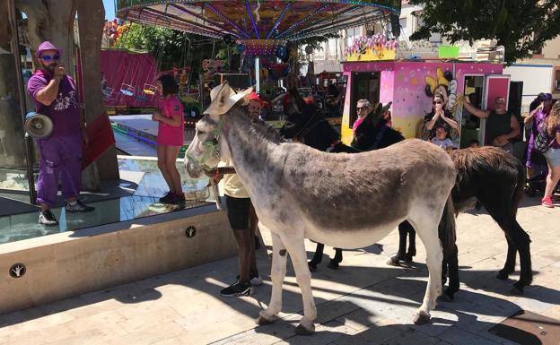 Imagen de uno de los burros participantes del año 2019.