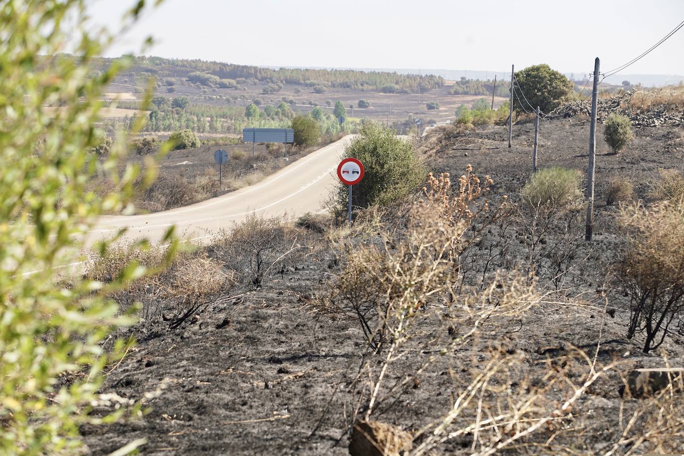 El incendio forestal de Castrillo de los Polvazares (León) baja a nivel 1