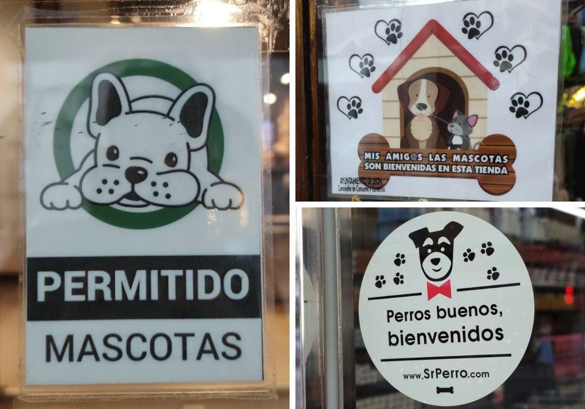 Diferentes establecimientos que aceptan la entrada de mascotas.