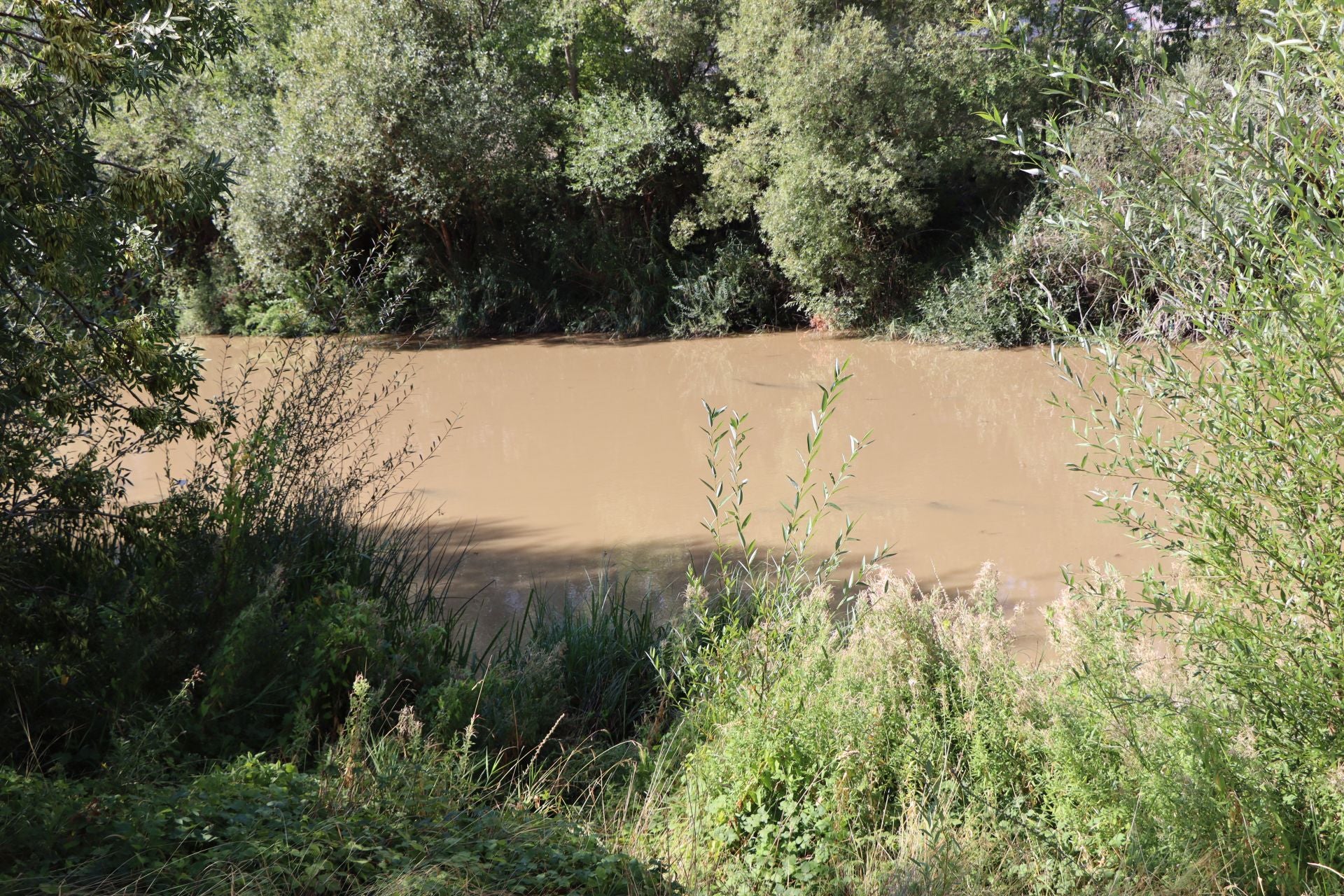 Lluvias llenan el río Bernesga y aumentan su caudal