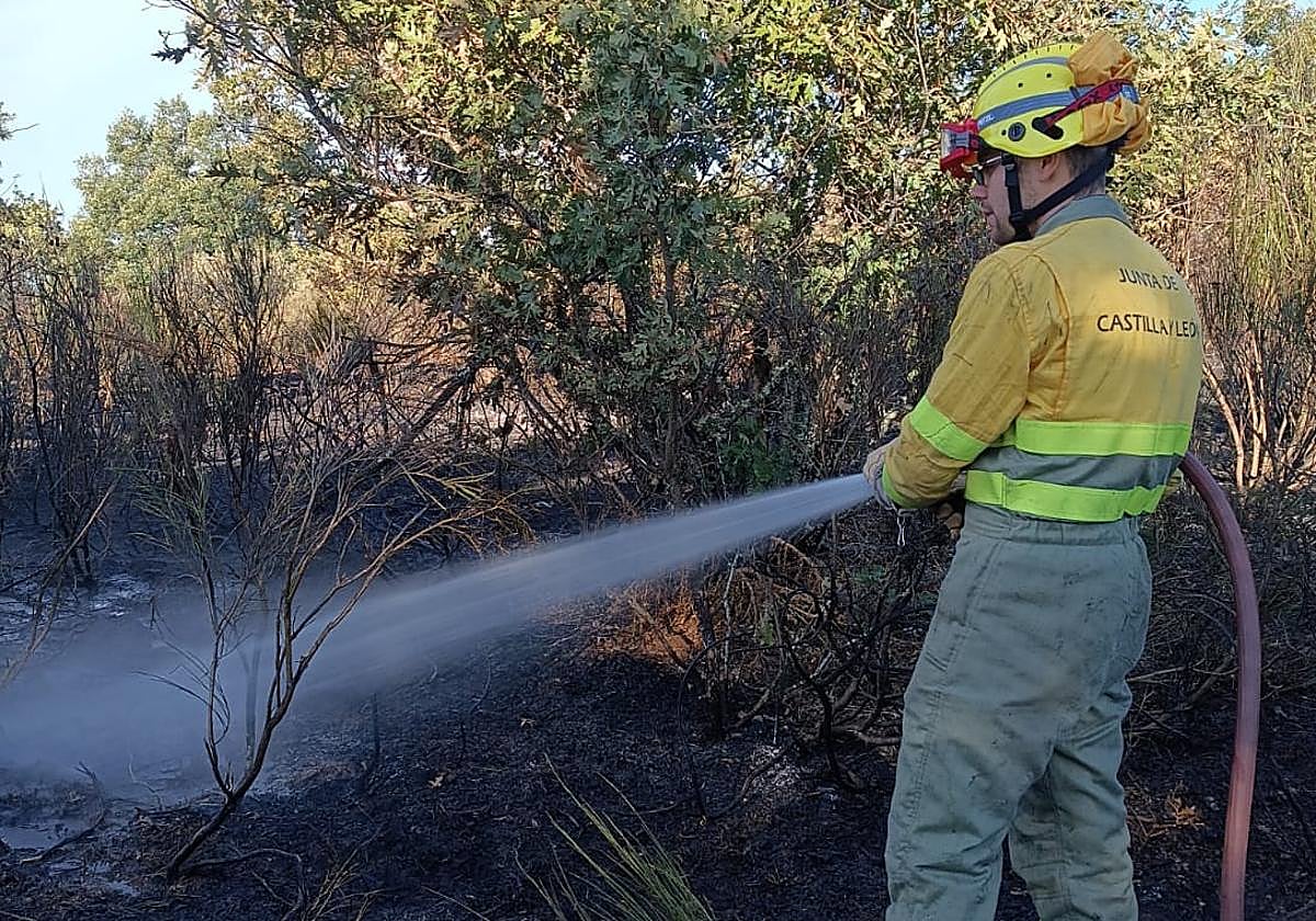 Uno de los agentes medioambientales, durante los trabajos de extinción.