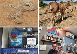 Las noticias imprescindibles del sábado 7 de septiembre en León