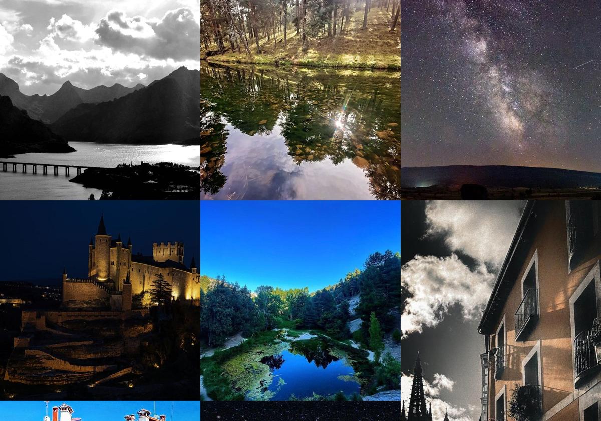 Algunas de las fotos seleccionadas en el concurso.