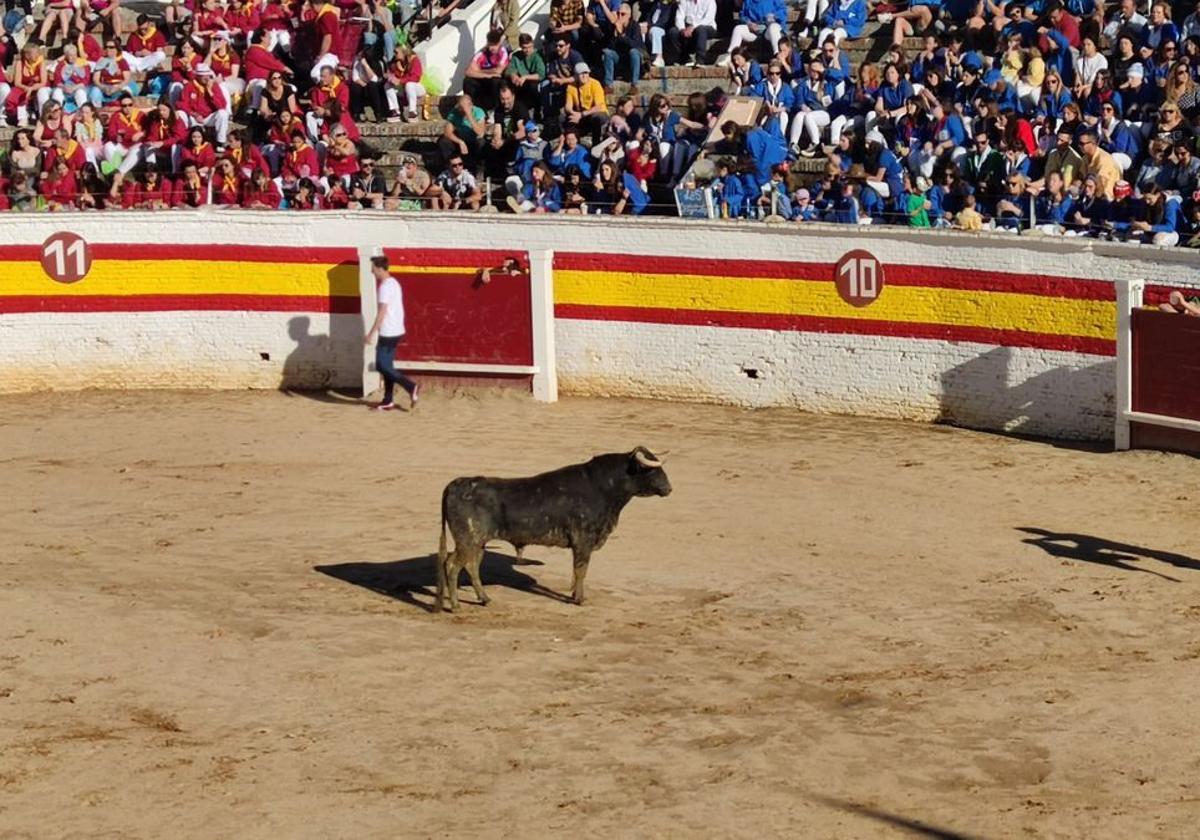 Un evento taurino en la provincia de León.