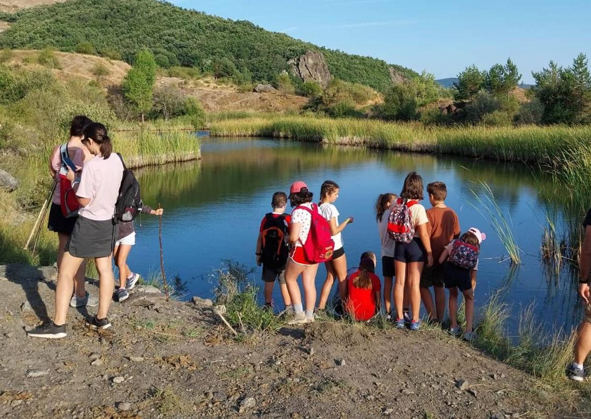 Imagen secundaria 1 - Los escarabajos que pueblan el valle de Reyero