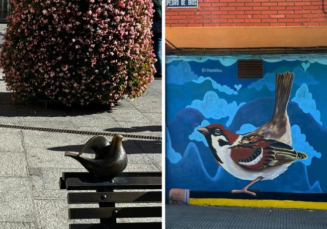 Dos pájaros que decoran la ciudad.