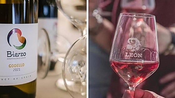 DO León y DO Bierzo, premio especial Agro 2024 de Leonoticias