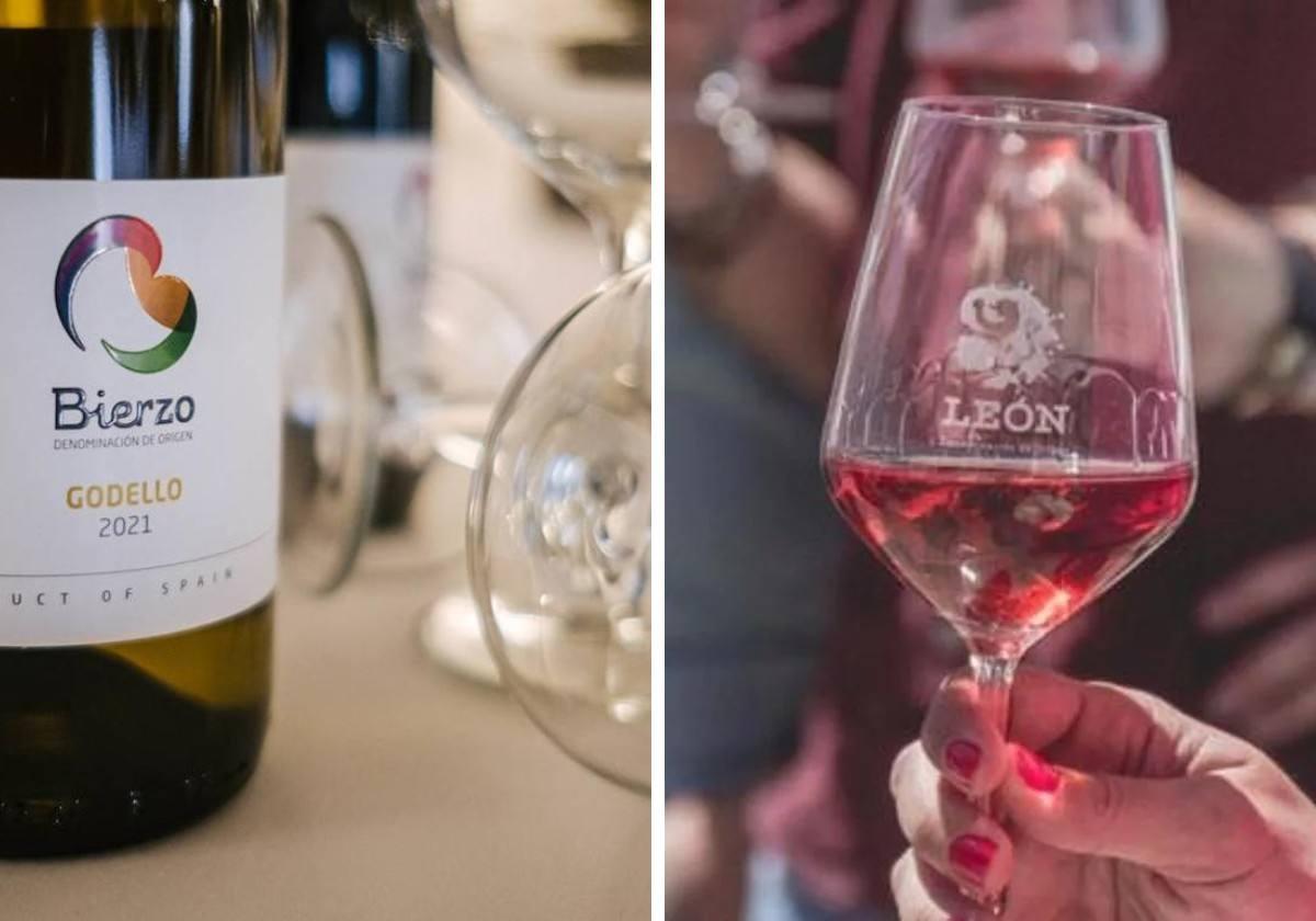 DO León y DO Bierzo, premio especial Agro 2024 de Leonoticias