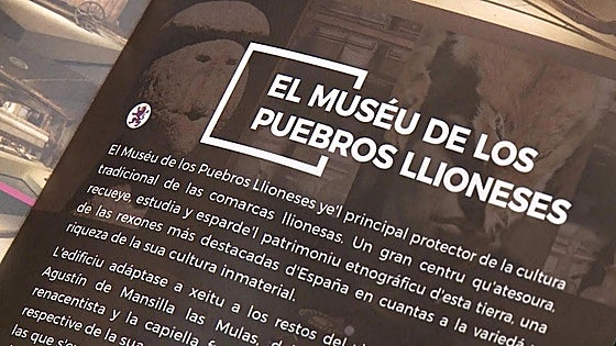 Europa denuncia la falta de medidas para proteger y promocionar el leonés en Castilla y León