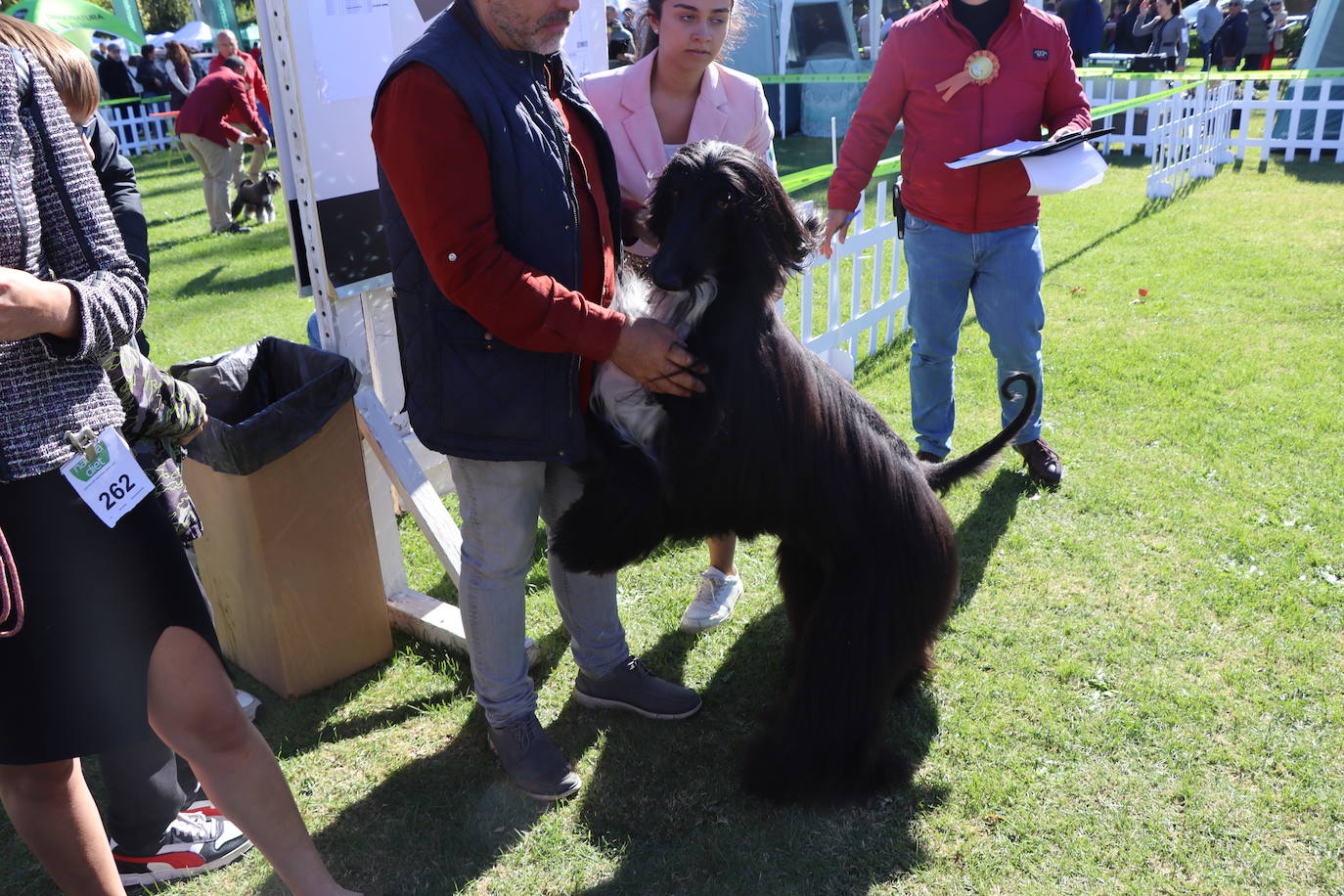 Las mejores imágenes de la XXXI Exposición Nacional Canina