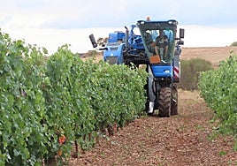 Asaja pide al Consejo Regulador de la DO León que «se abstenga de enfrentar a agricultores y ganaderos»