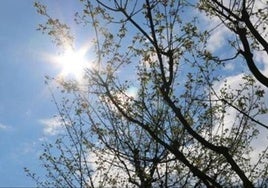 Sol y nubes para el jueves en León.