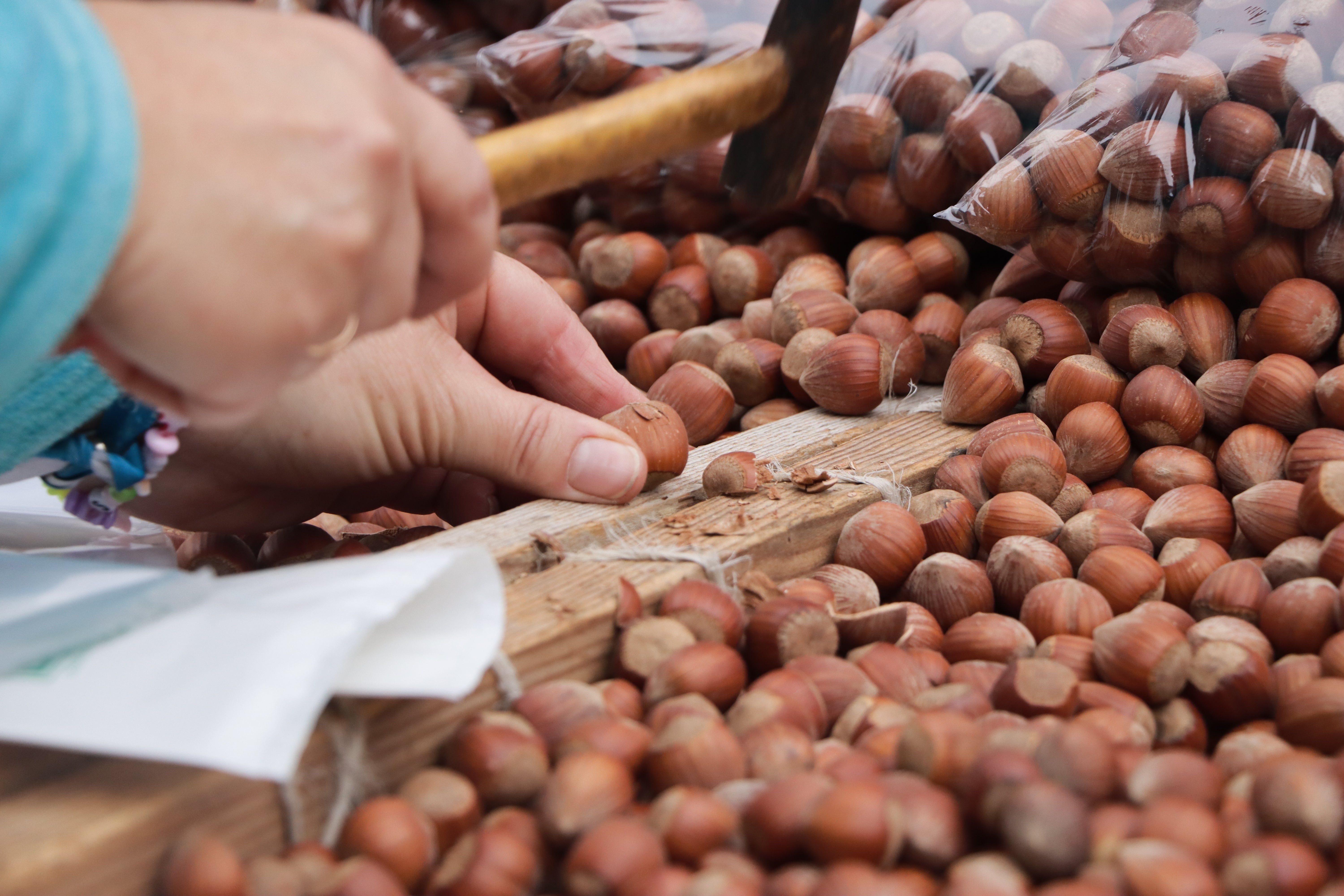 Tradición y folclore en la romería de San Froilán