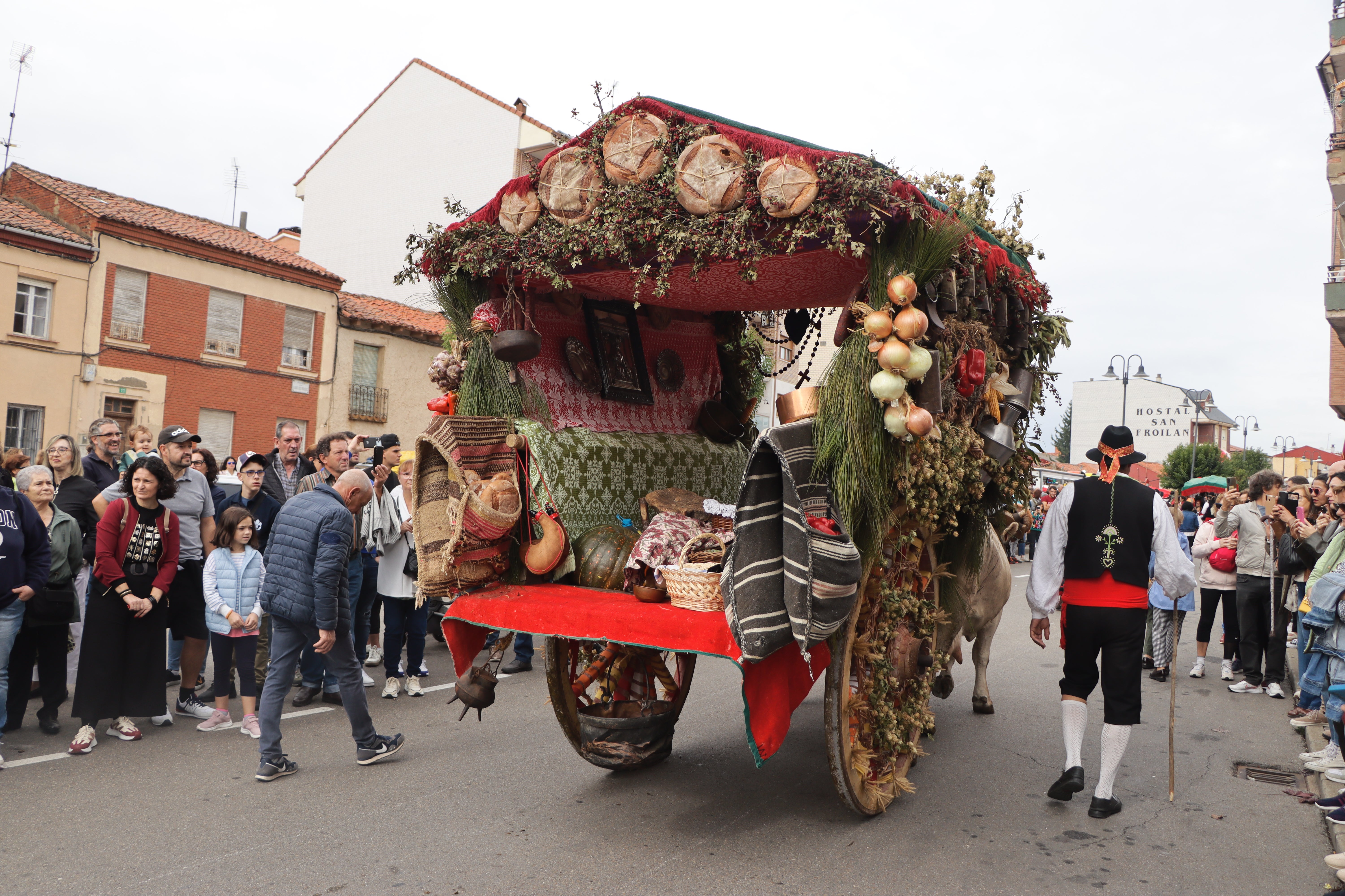 Los carros engalanados en la romería de San Froilán