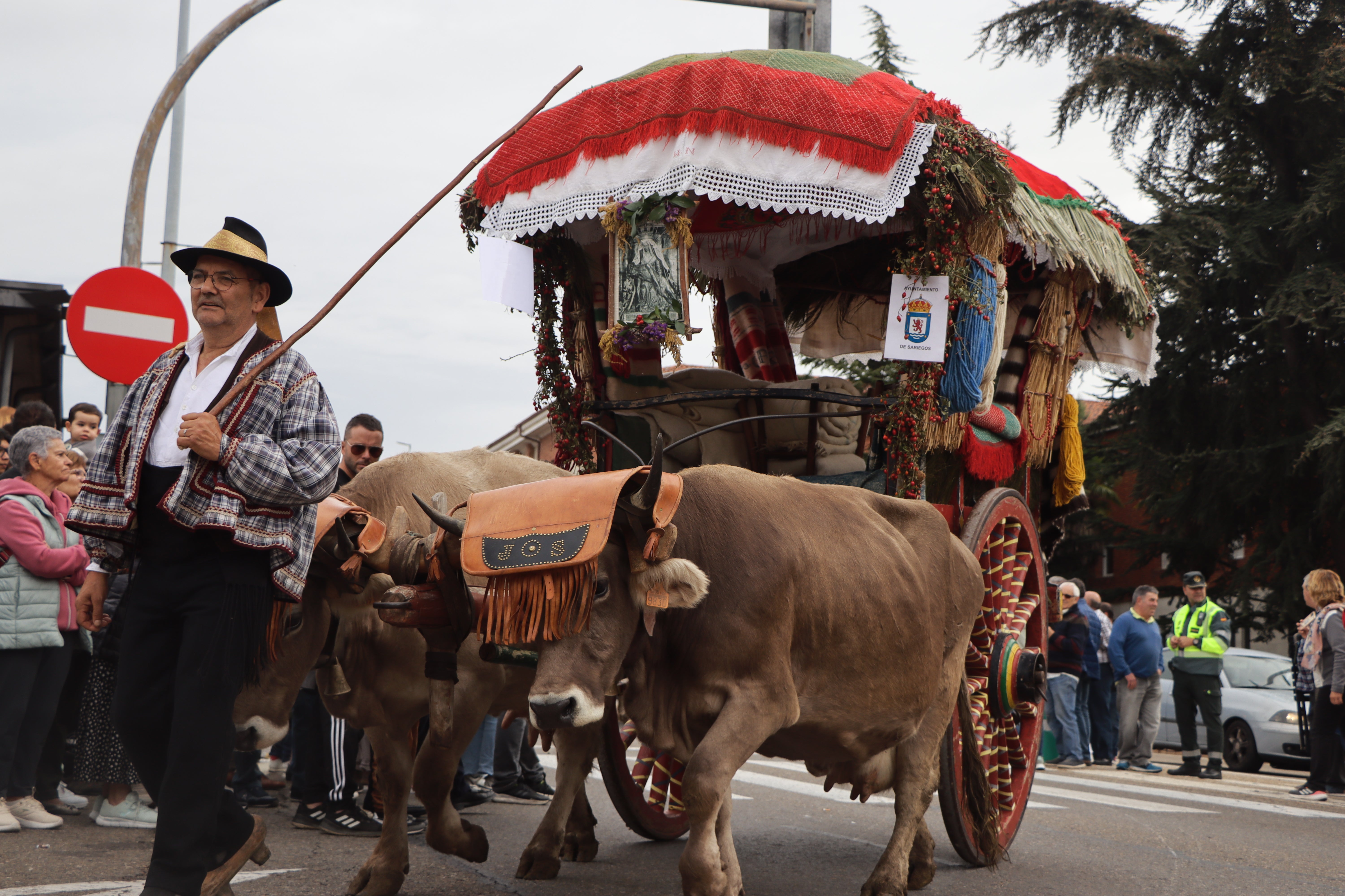 Los carros engalanados en la romería de San Froilán