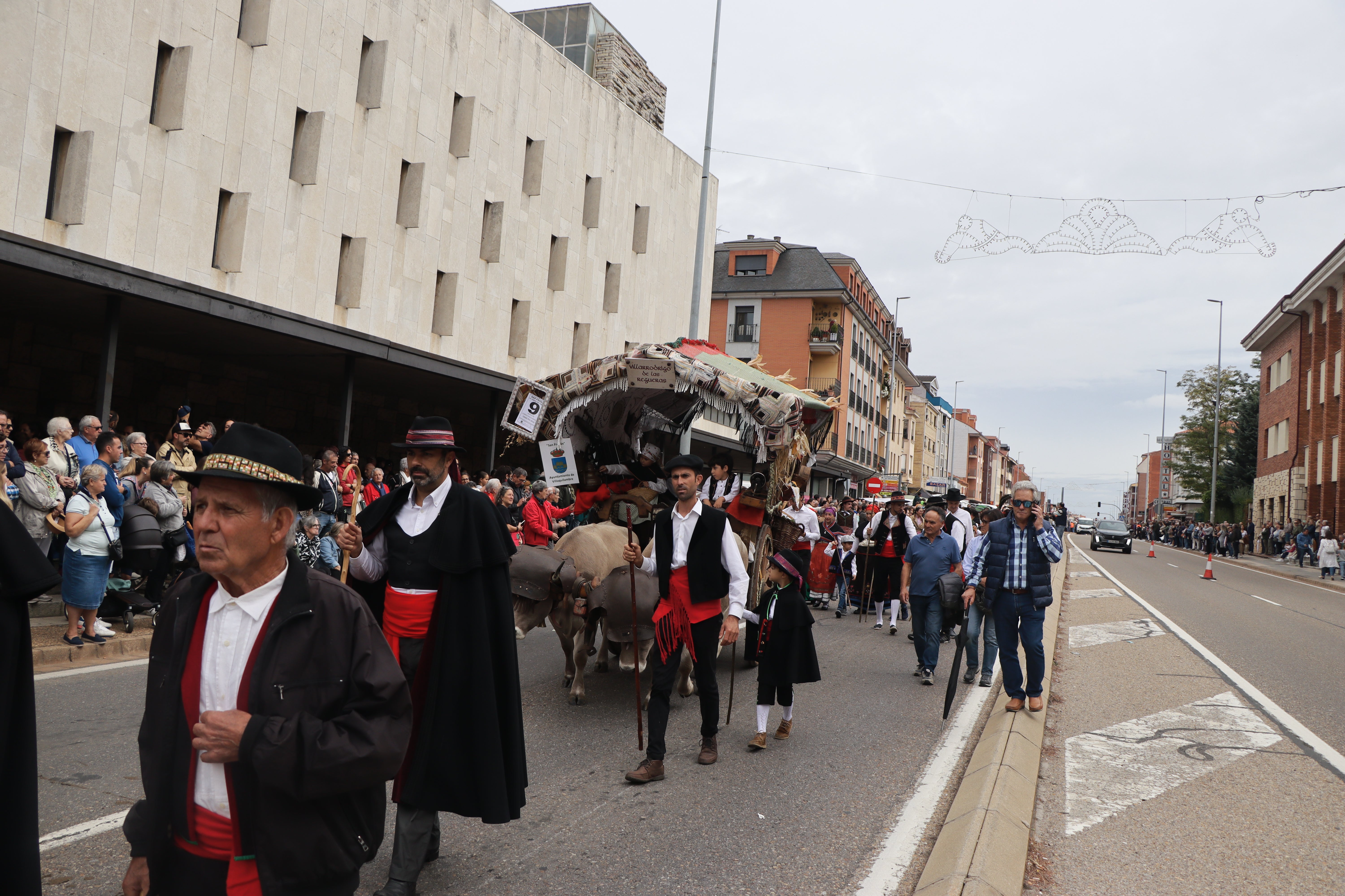 Los carros engalanados en la romería de San Froilán