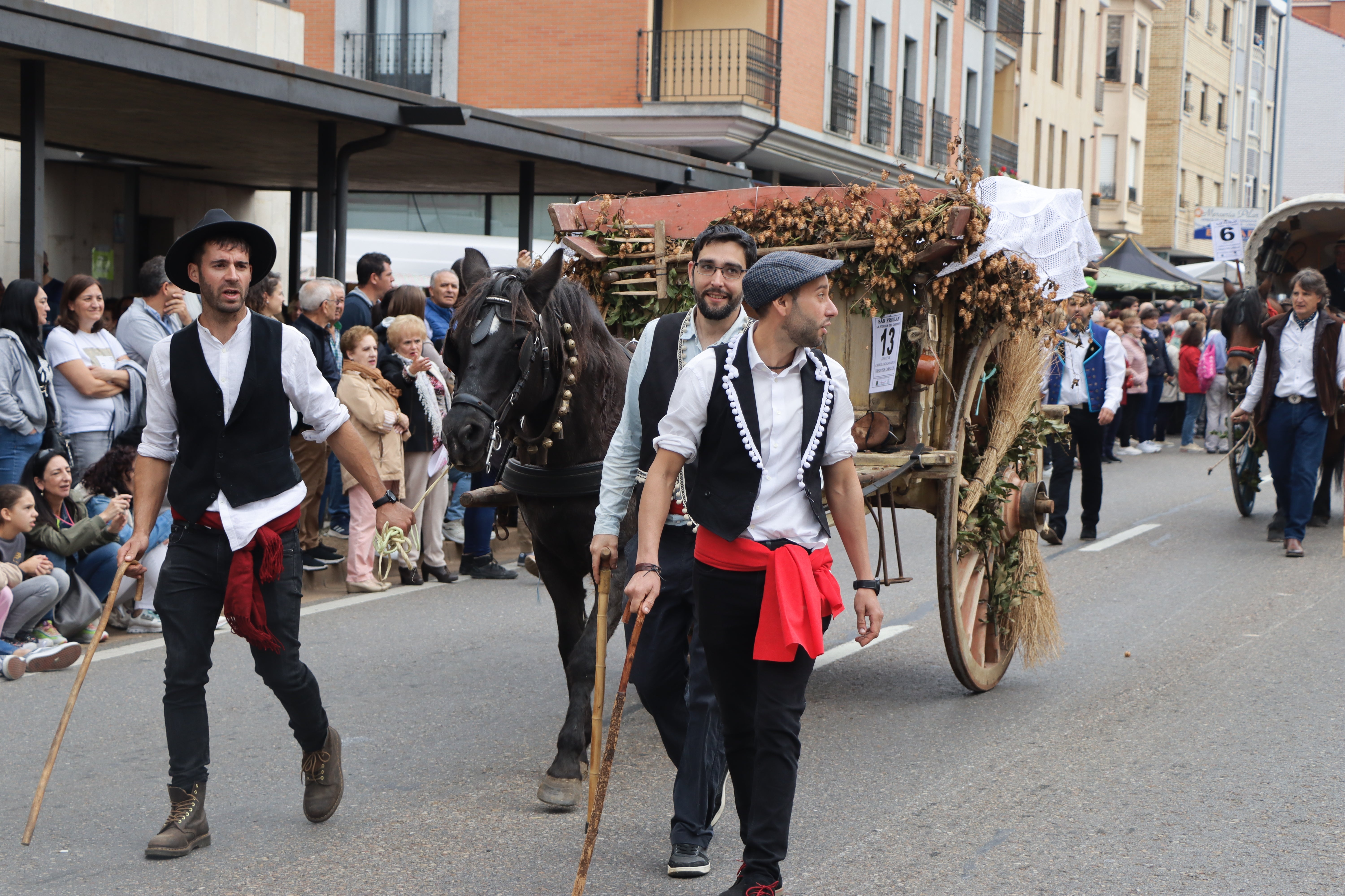 Los carros engalanados en la romería de San Froilán