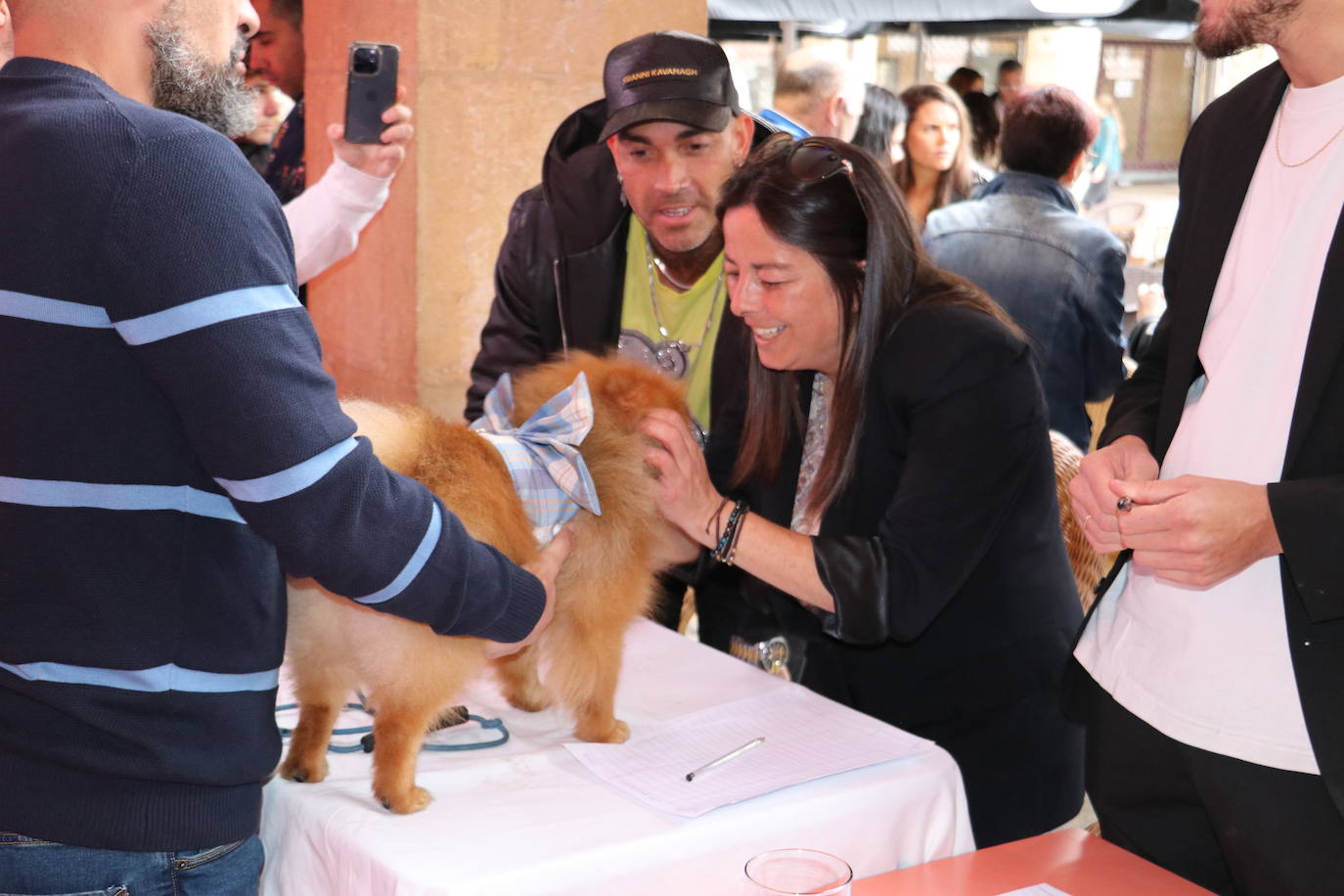 Más de medio centenar de perros pomerania desfilan en la Plaza Mayor de León